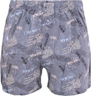Andrie PS 4910 D, gray size L - Boxer Shorts