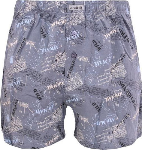 Andrie PS 4910 D, gray size L - Boxer Shorts - Main image