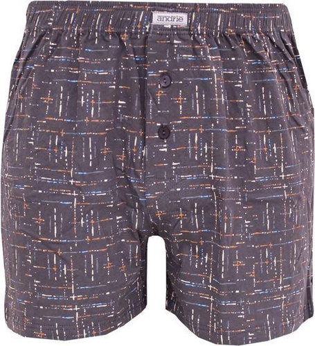 Andrie PS 5499 D, gray size L - Boxer Shorts - Main image