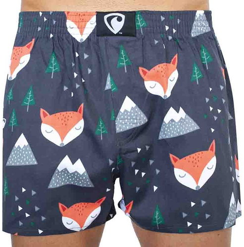 Represent R0M-BOX-0633 - foxes, multicoloured, sized. L - Boxer Shorts - Main image