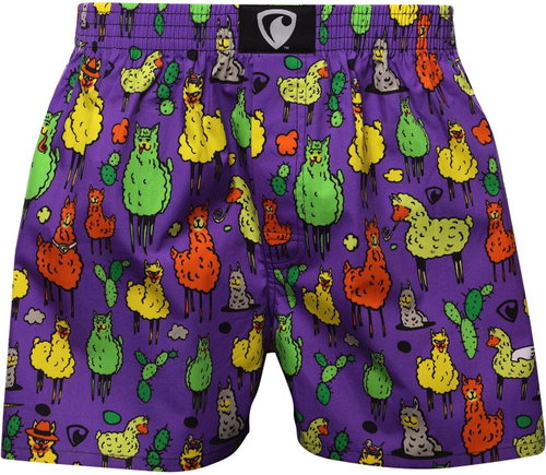Represent R1M-BOX-0662 - lama size M - Boxer Shorts - Main image