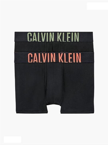 Calvin Klein 2Pack NB2602A-JC1 - black - Boxer Briefs - Main image
