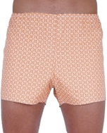 Foltýn KN70 - brown - Boxer Shorts