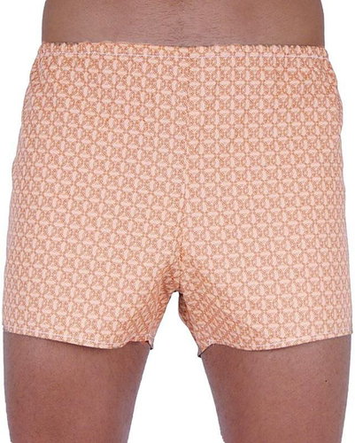 Foltýn KN70 - brown - Boxer Shorts - Main image