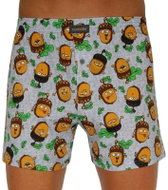 Cornette 001/101 - brown - Boxer Shorts