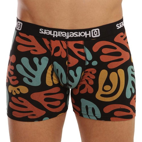 Horsefeathers AM070X multicolour size. L - Boxer Briefs - Main image