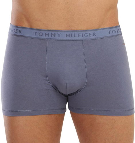 Tommy Hilfiger UM0UM02333 C4Q blue sizing. M - Boxer Briefs - Main image