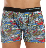 69SLAM MBYJPE-PO multicolour - Boxer Briefs