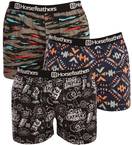 Horsefeathers 3Pack AM096C multicolour size. M - Boxer Shorts - Main image