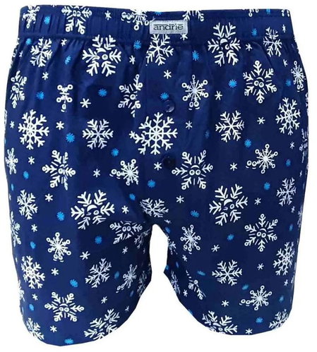 Andrie PS 5558 C - blue sizing. L - Boxer Shorts - Main image