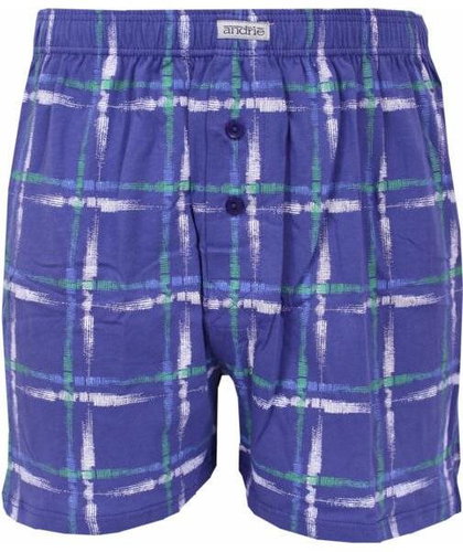 Andrie PS 5565 A - blue sizing. L - Boxer Shorts - Main image