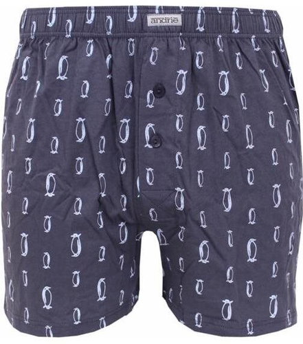 Andrie PS 5579 B - grey sizing. XL - Boxer Shorts - Main image