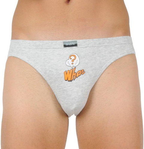 Andrie PS 3338 B - grey size. L - Briefs - Main image
