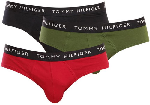 Tommy Hilfiger 3Pack UM0UM02206 0XI multicoloured size. L - Briefs - Main image