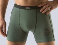 Gino 74071 - green size. L - Boxer Briefs