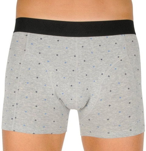 Vuch Skim - grey size. L - Boxer Briefs - Main image
