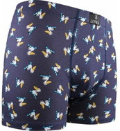 Lonka Kevin-pelican - multicoloured size. L - Boxer Briefs