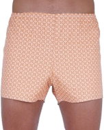 Foltýn K46 - brown size. XXL - Boxer Shorts