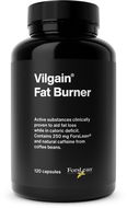 Vilgain Fat Burner 2.0 120 kapslí - Spalovač tuků