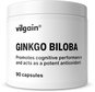 Ginkgo Biloba Vilgain Ginkgo Biloba 90 capsules - Ginkgo Biloba