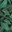 Yoggys Emerald Design Yoga Mat