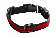 Eyenimal luminous dog collar - red - L - Dog Collar