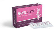 Borogyn vaginal suppositories 10 × 2 g - Medical Device