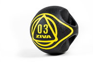ZIVA Dual Grip Medicinbal with grips 10 kg - Medicine Ball