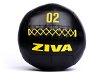 ZIVA Performance Wall Ball Medicinbal 4 kg - Medicinbal