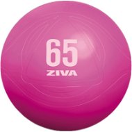 ZIVA Gimnasztikai labda 55 cm, rózsaszín - Fitness labda
