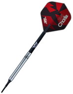 Bull's NL Darts Karel Sedlacek - Evil Charlie - 80% - 20g - Darts