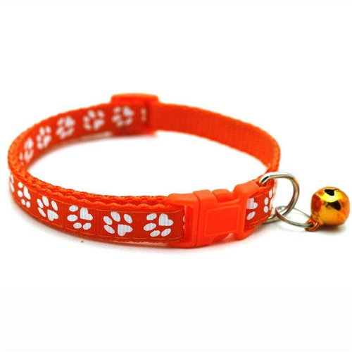 Surtep Dog collar Paw 1x19-32cm colour Orange - Dog Collar - Main image
