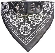 Surtep Collar for dog with scarf Black size. M - Dog Collar