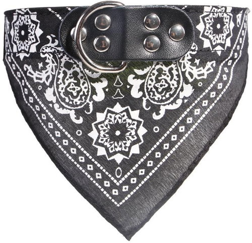 Surtep Collar for dog with scarf Black size. XL - Dog Collar - Main image