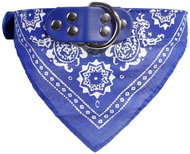 Surtep Collar for dog with scarf Blue size. M - Dog Collar