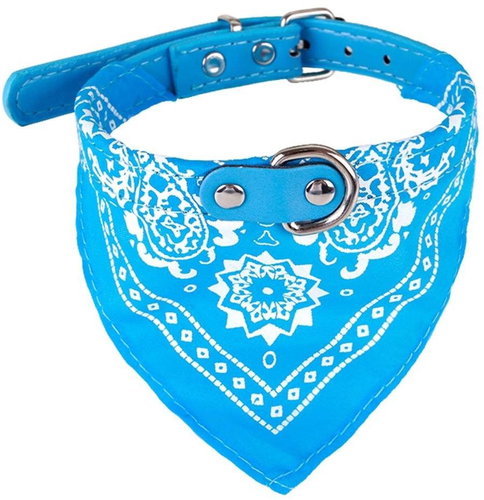 Surtep Collar for dog with scarf Light blue size. M - Dog Collar - Main image