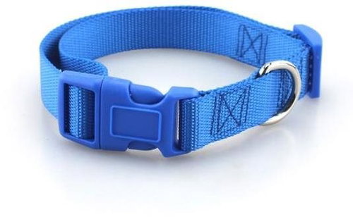 Surtep Dog collar / Blue - Dog Collar - Main image