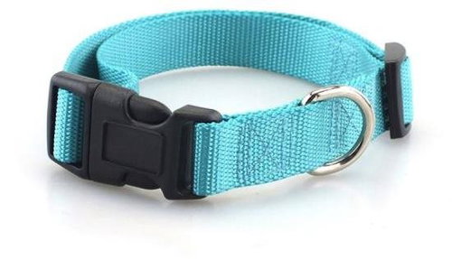 Surtep Dog collar / Light blue - Dog Collar - Main image