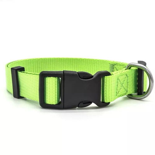 Surtep Dog collar / Green size. XS - Dog Collar - Main image