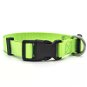 Surtep Dog collar / Green - Dog Collar