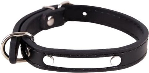 Surtep Collar for dog Luxury Winiw / Black size. M - Dog Collar - Main image