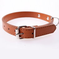 Surtep Collar for dog Luxury Winiw / Brown size. S - Dog Collar