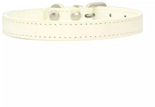 Surtep Collar for dog NERO - white size. M - Dog Collar - Main image