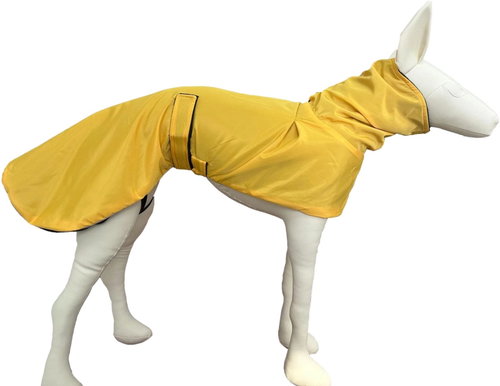 Surtep Rain raincoat for dog - Yellow size. M - Dog Clothes - Main image