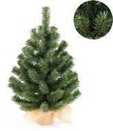 Sortland Vánoční stromek Baltic v květináči - 50 cm - Vánoční stromek