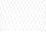 MagicHome Christmas chain MULTI CONNECT Netled, cold white, outdoor, 2 m, black cable - Light Chain