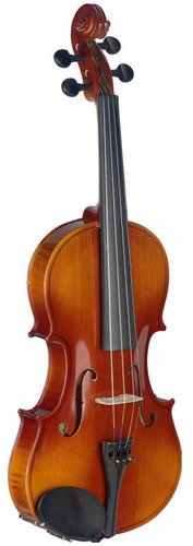 Stagg VN-4/4 L, with case - Violin - Main image