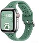 Strapido pacičky s přezkou pro Apple Watch 38/40/41 mm Zelený - Watch Strap