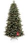 Jedľa Nepálska 180 cm - Vianočný stromček