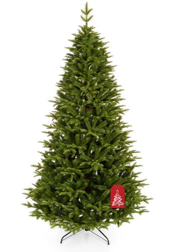 Caucasian Fir 250cm - Christmas Tree - Main image
